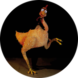 Gallo desplumado